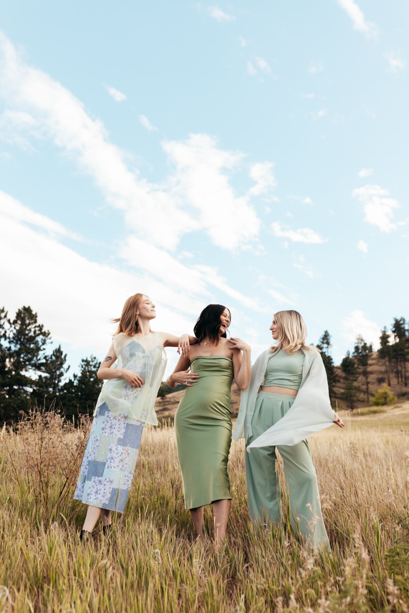 Colorado — sage campaign